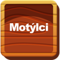 Motýlci